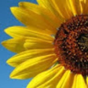 Meet your Posher, Cass